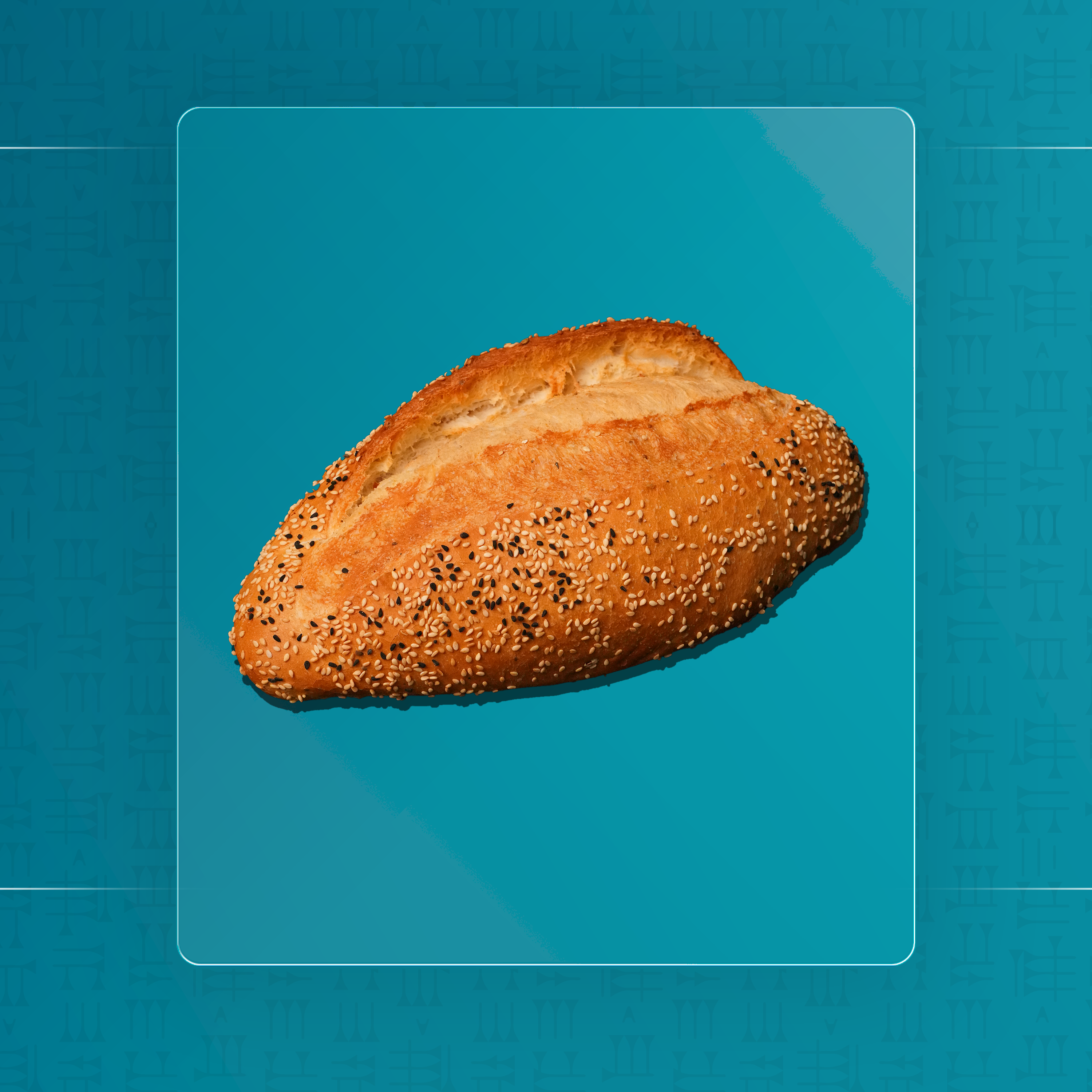 باغيت كبير ابيض حبة بركة