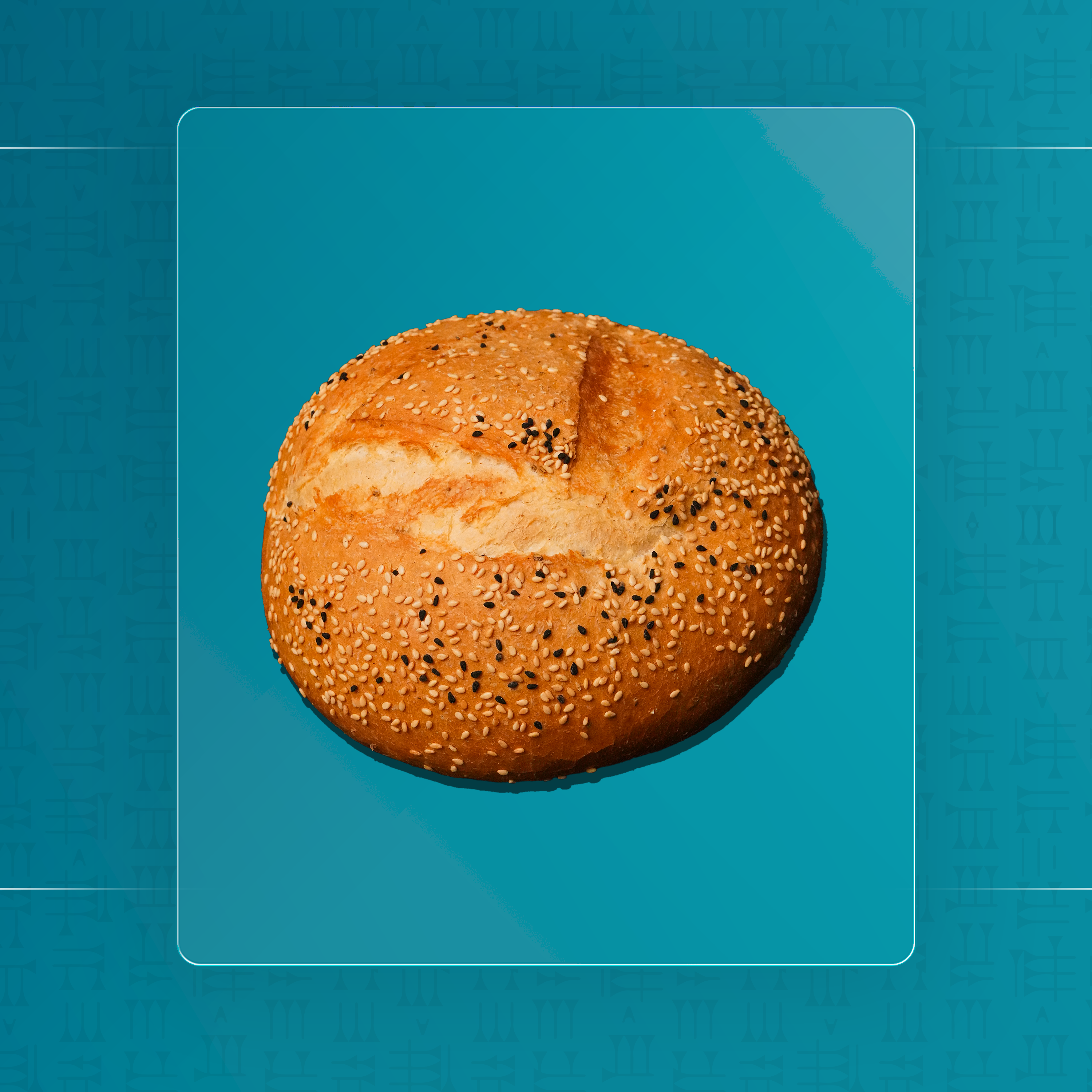 باغيت كبير ابيض دائري