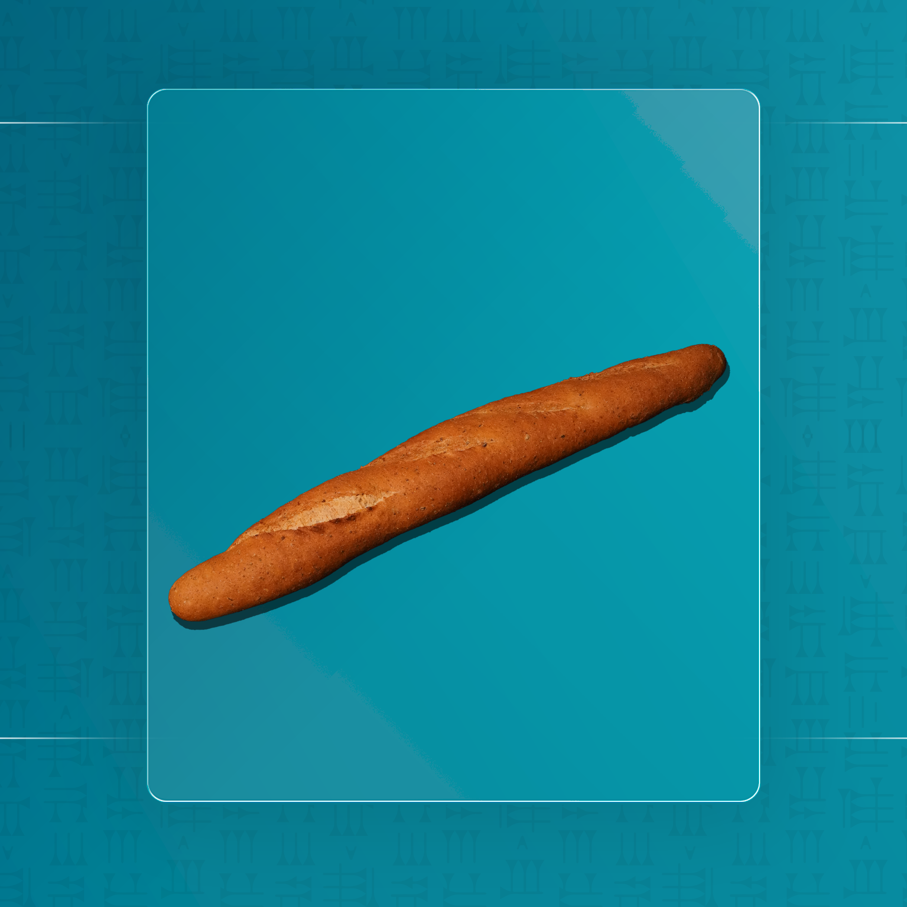 باغيت طويل ابيض